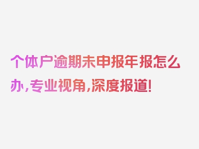 个体户逾期未申报年报怎么办，专业视角，深度报道！