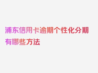 浦东信用卡逾期个性化分期有哪些方法