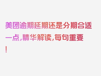 美团逾期延期还是分期合适一点，精华解读，每句重要！