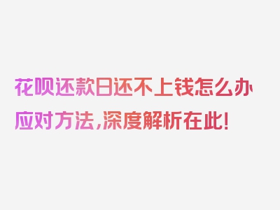 花呗还款日还不上钱怎么办应对方法，深度解析在此！