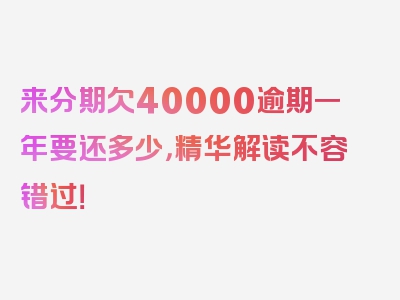 来分期欠40000逾期一年要还多少，精华解读不容错过！