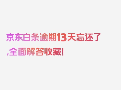 京东白条逾期13天忘还了,全面解答收藏！