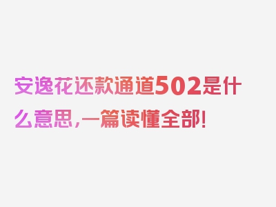 安逸花还款通道502是什么意思，一篇读懂全部！