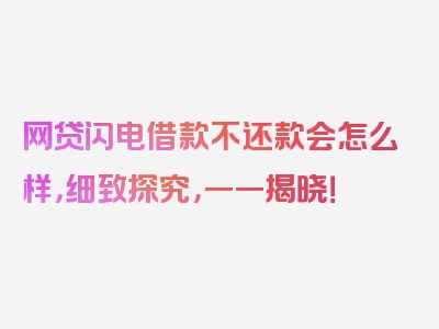 网贷闪电借款不还款会怎么样，细致探究，一一揭晓！