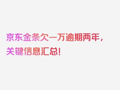 京东金条欠一万逾期两年，关键信息汇总！