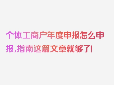 个体工商户年度申报怎么申报，指南这篇文章就够了！