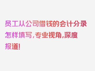 员工从公司借钱的会计分录怎样填写，专业视角，深度报道！