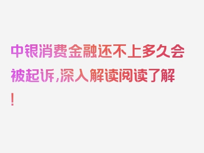 中银消费金融还不上多久会被起诉,深入解读阅读了解！