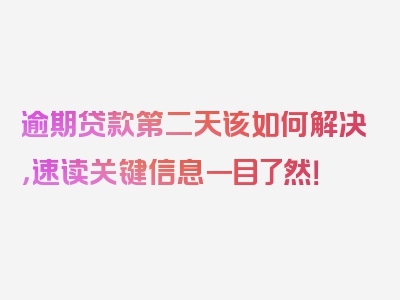 逾期贷款第二天该如何解决，速读关键信息一目了然！