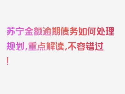 苏宁金额逾期债务如何处理规划，重点解读，不容错过！