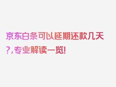 京东白条可以延期还款几天?，专业解读一览！