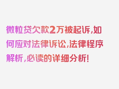 微粒贷欠款2万被起诉,如何应对法律诉讼,法律程序解析，必读的详细分析！