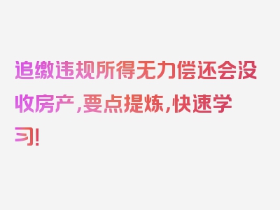 追缴违规所得无力偿还会没收房产，要点提炼，快速学习！