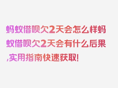 蚂蚁借呗欠2天会怎么样蚂蚁借呗欠2天会有什么后果,实用指南快速获取！