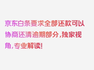 京东白条要求全部还款可以协商还清逾期部分，独家视角，专业解读！