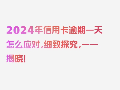 2024年信用卡逾期一天怎么应对，细致探究，一一揭晓！