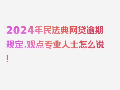 2024年民法典网贷逾期规定，观点专业人士怎么说！