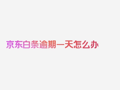 京东白条逾期一天怎么办 会造成什么后果，精华解读，每句重要！