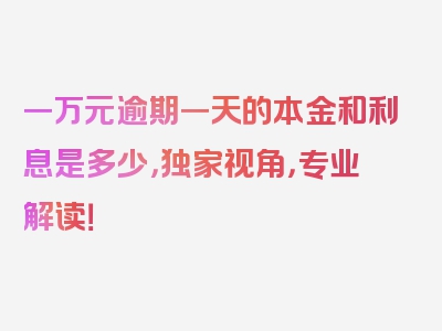 一万元逾期一天的本金和利息是多少，独家视角，专业解读！