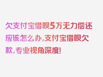 欠支付宝借呗5万无力偿还应该怎么办,支付宝借呗欠款,专业视角深度！