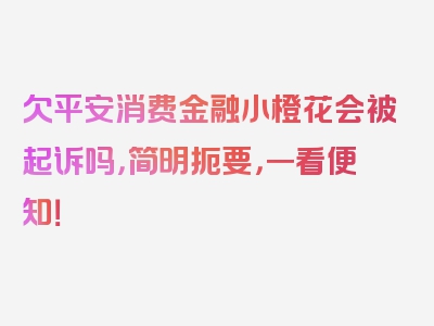 欠平安消费金融小橙花会被起诉吗，简明扼要，一看便知！