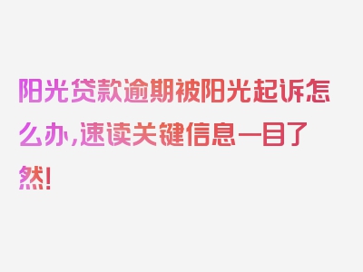 阳光贷款逾期被阳光起诉怎么办，速读关键信息一目了然！