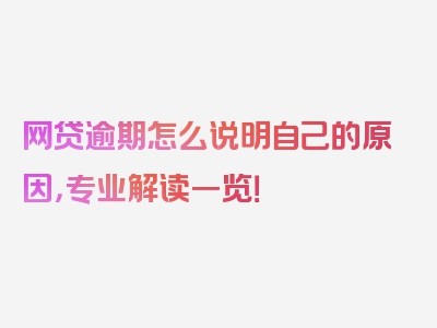 网贷逾期怎么说明自己的原因，专业解读一览！