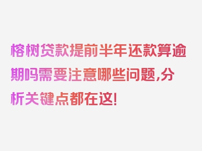 榕树贷款提前半年还款算逾期吗需要注意哪些问题，分析关键点都在这！