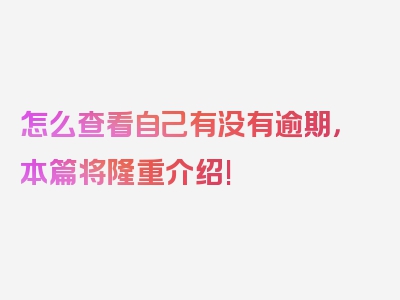 怎么查看自己有没有逾期，本篇将隆重介绍!