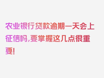 农业银行贷款逾期一天会上征信吗，要掌握这几点很重要！