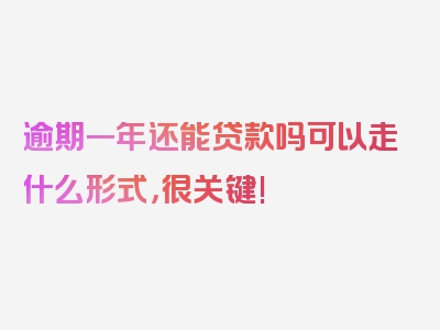 逾期一年还能贷款吗可以走什么形式，很关键!