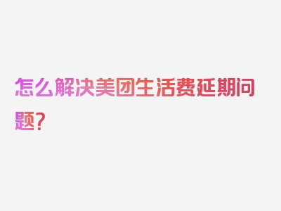 怎么解决美团生活费延期问题？