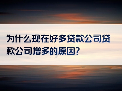 为什么现在好多贷款公司贷款公司增多的原因？