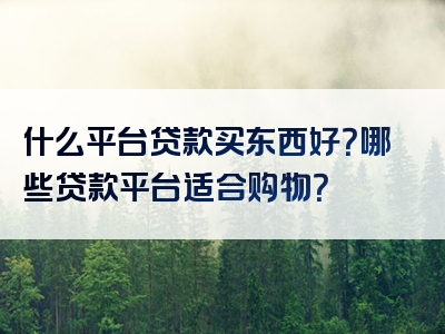 什么平台贷款买东西好？哪些贷款平台适合购物？