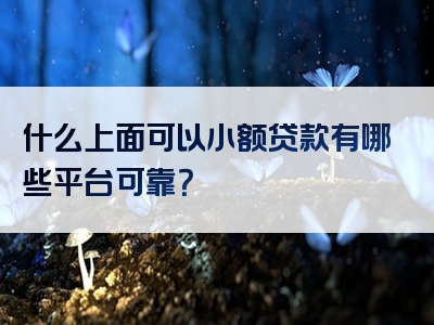 什么上面可以小额贷款有哪些平台可靠？