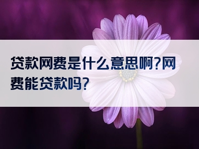 贷款网费是什么意思啊？网费能贷款吗？