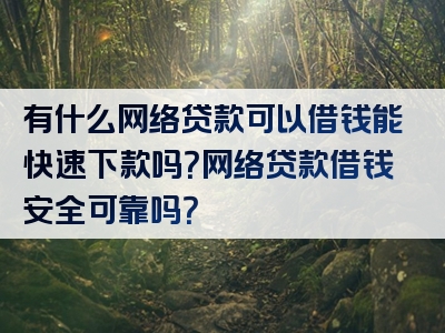 有什么网络贷款可以借钱能快速下款吗？网络贷款借钱安全可靠吗？