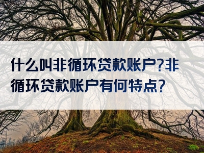 什么叫非循环贷款账户？非循环贷款账户有何特点？