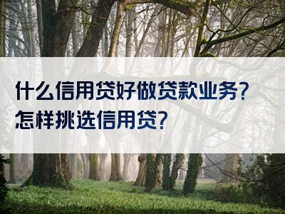 什么信用贷好做贷款业务？怎样挑选信用贷？