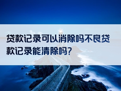 贷款记录可以消除吗不良贷款记录能清除吗？