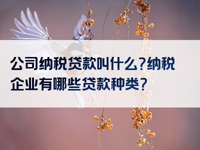 公司纳税贷款叫什么？纳税企业有哪些贷款种类？