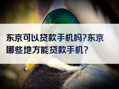 东京可以贷款手机吗？东京哪些地方能贷款手机？