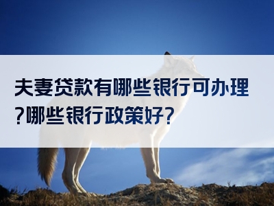 夫妻贷款有哪些银行可办理？哪些银行政策好？