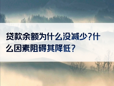 贷款余额为什么没减少？什么因素阻碍其降低？