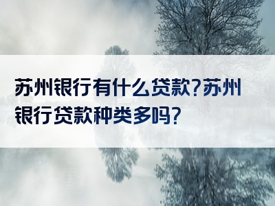 苏州银行有什么贷款？苏州银行贷款种类多吗？