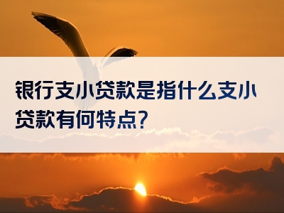 银行支小贷款是指什么支小贷款有何特点？