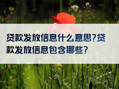 贷款发放信息什么意思？贷款发放信息包含哪些？