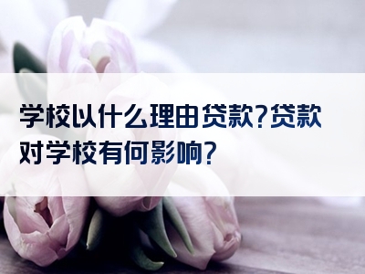 学校以什么理由贷款？贷款对学校有何影响？