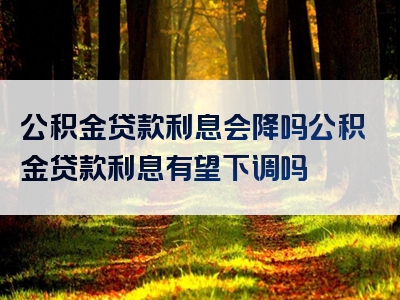 公积金贷款利息会降吗公积金贷款利息有望下调吗