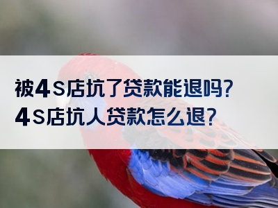 被4s店坑了贷款能退吗？4s店坑人贷款怎么退？